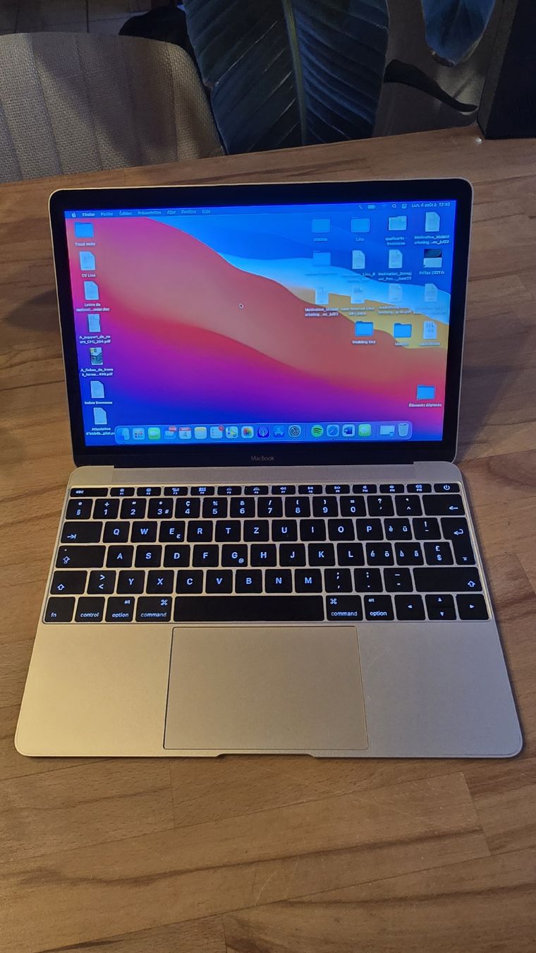 Apple Portables: Apple MacBook 12" Retina  – D'occasion à Le Fuet par Redd273
