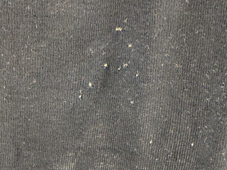 T-shirt: Shirt Gr. L von Chicorée – Difettoso da Auenstein venduto da moin. 1