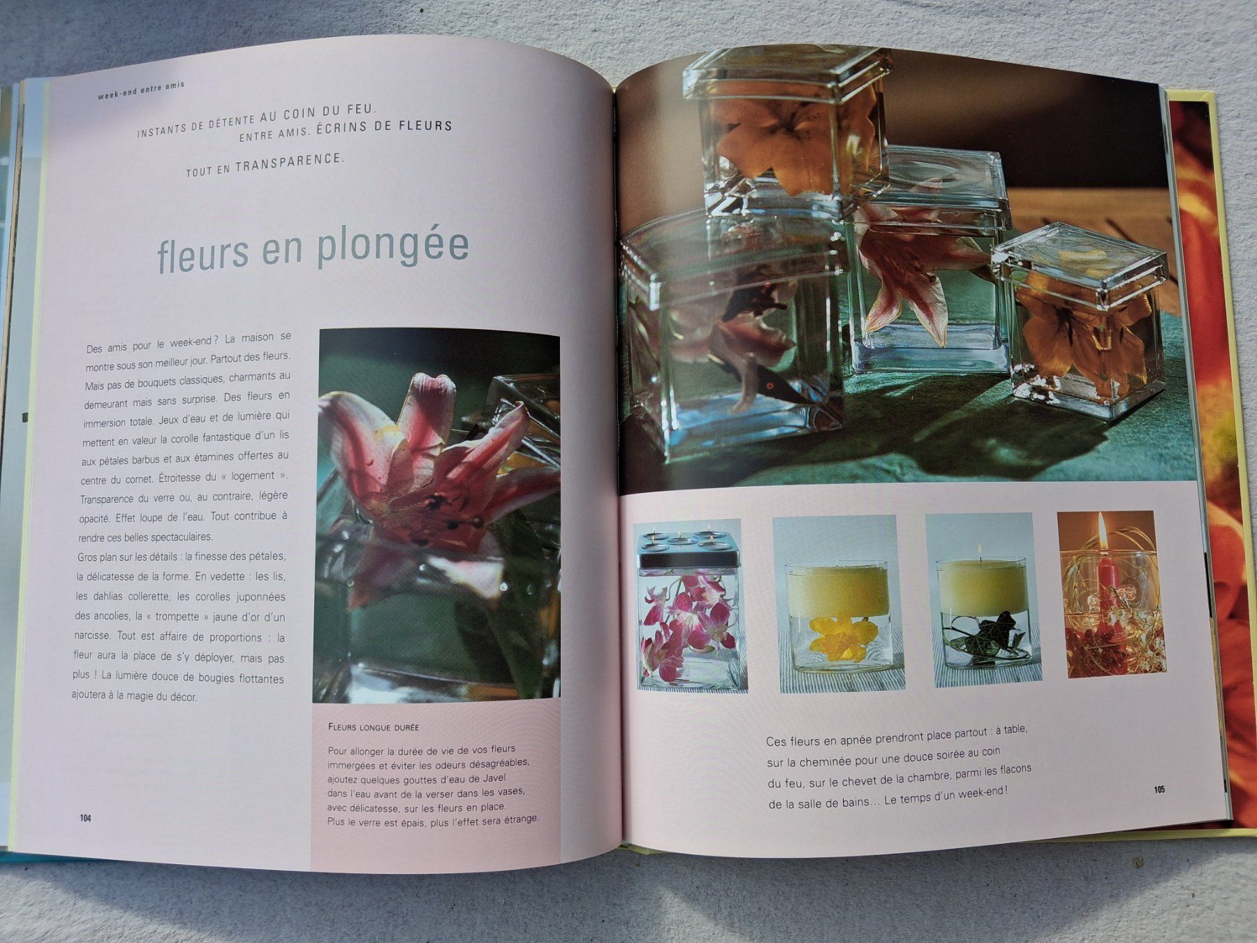 Libri: Décors de fleurs pour la maison – Usato da Fully venduto da Minouchka 7