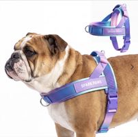 Spark Paws – Harnais pour chien – Taille 2 – Neuf