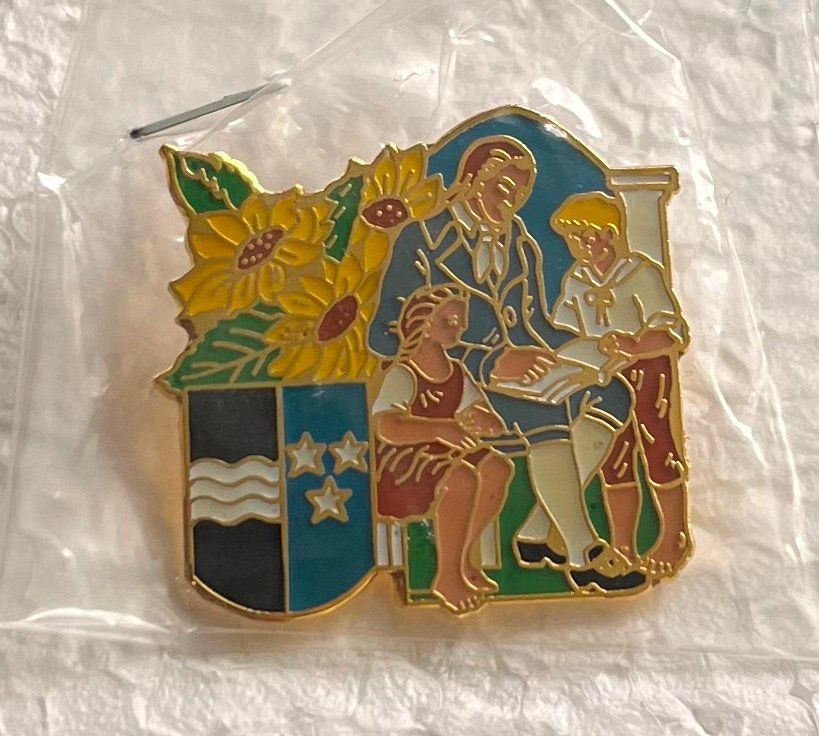 Placchette & Badge: Pin Simone Erni Kantonswappen Aargau – Usato da Obernau venduto da Wgnom