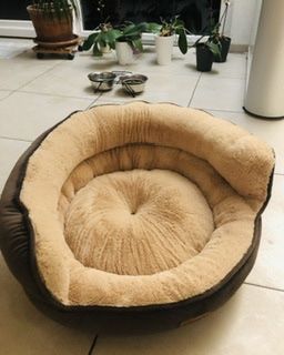 Cucce & Letti: Katzenbett – Nuovo (secondo la descrizione) da Mülligen venduto da kj__6qwh