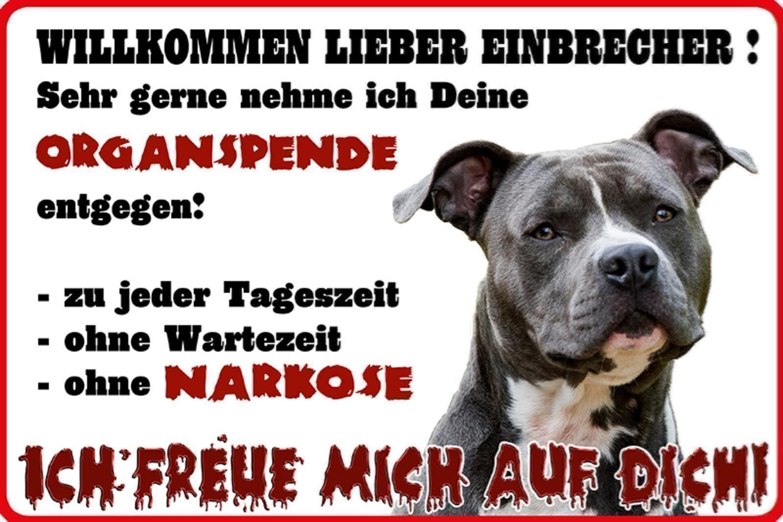 Schilder: Blechschild-WILLKOMMEN LIEBER EINBRECHER – Neu und originalverpackt aus Rupperswil von big-one-sale