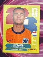 NED 20