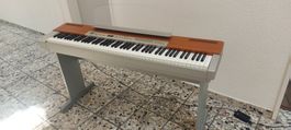 Digitalpiano Yamaha P-120 inkl.ständer seehr gutem zustand