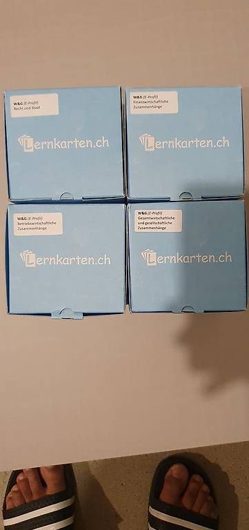 Sonstiger Schulbedarf: Lernkarten Wirtschaft und Gesellschaft – Gebraucht aus Rupperswil von pir_6kfb