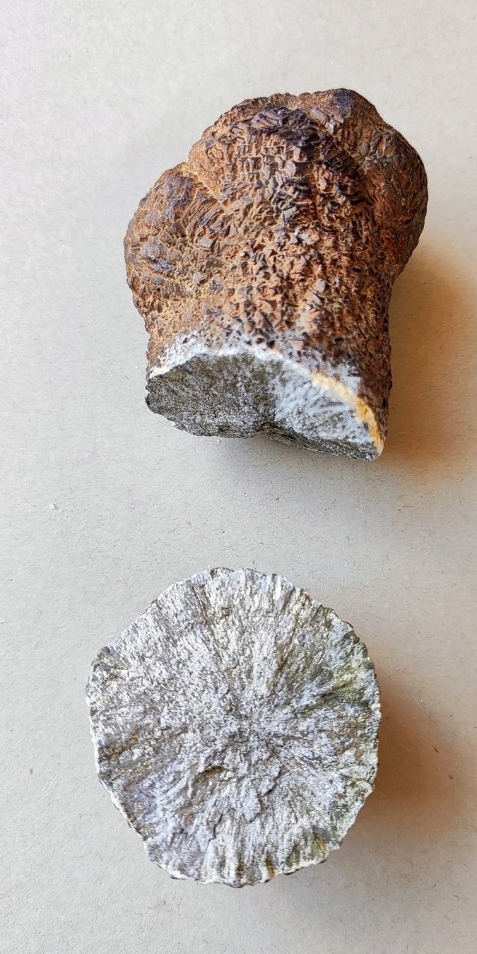 Minerali & Pietre curative: Ancienne stalagmite naturelle coupée en deux – Usato da Carouge GE venduto da for_8yym