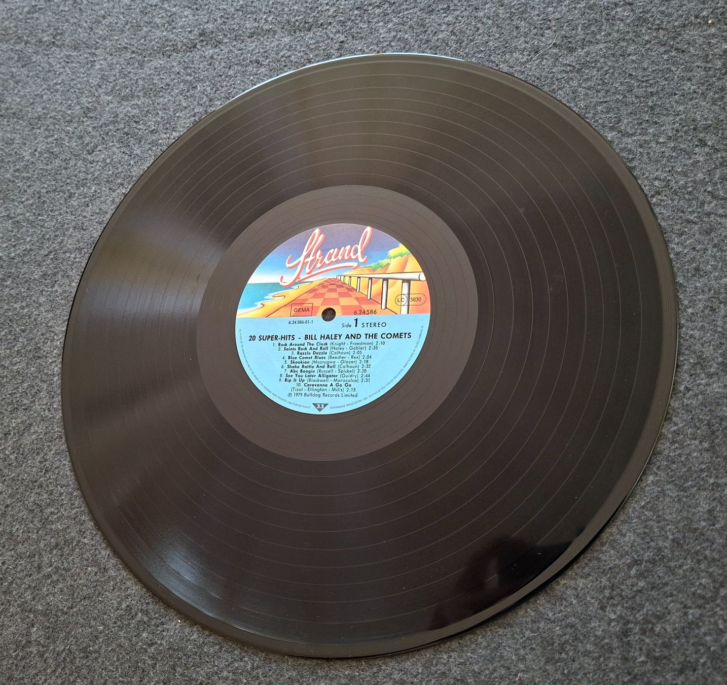 Dischi in vinile: Bill Haley and the Comets, Super Hits, LP – Usato da Merenschwand venduto da lea61 2