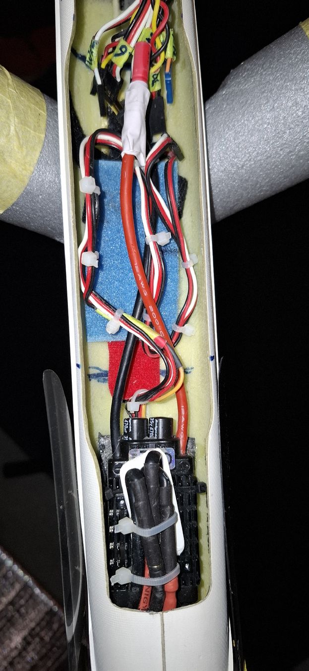 RC Modellbau: Baudis Skywaker 3800 Sperrgut Ja – Gebraucht aus Chur von Giffa-04-06 5