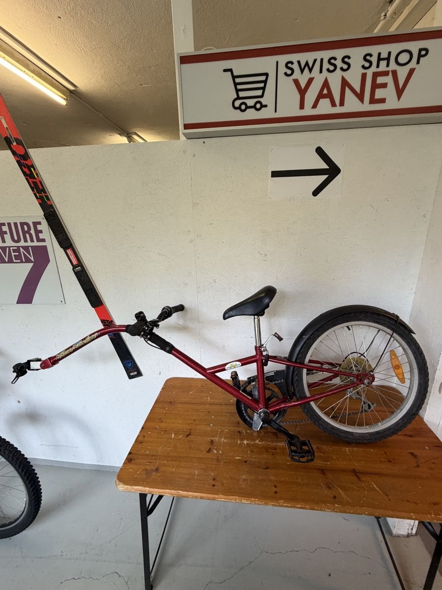 Biciclette: Fun-Trailer Schattenvelo – Usato da Gurmels venduto da SwissShop21