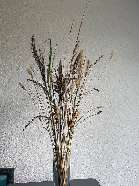 Tutte le decorazioni: Dekorative Gräser  – Usato da Münsingen venduto da monic51 1