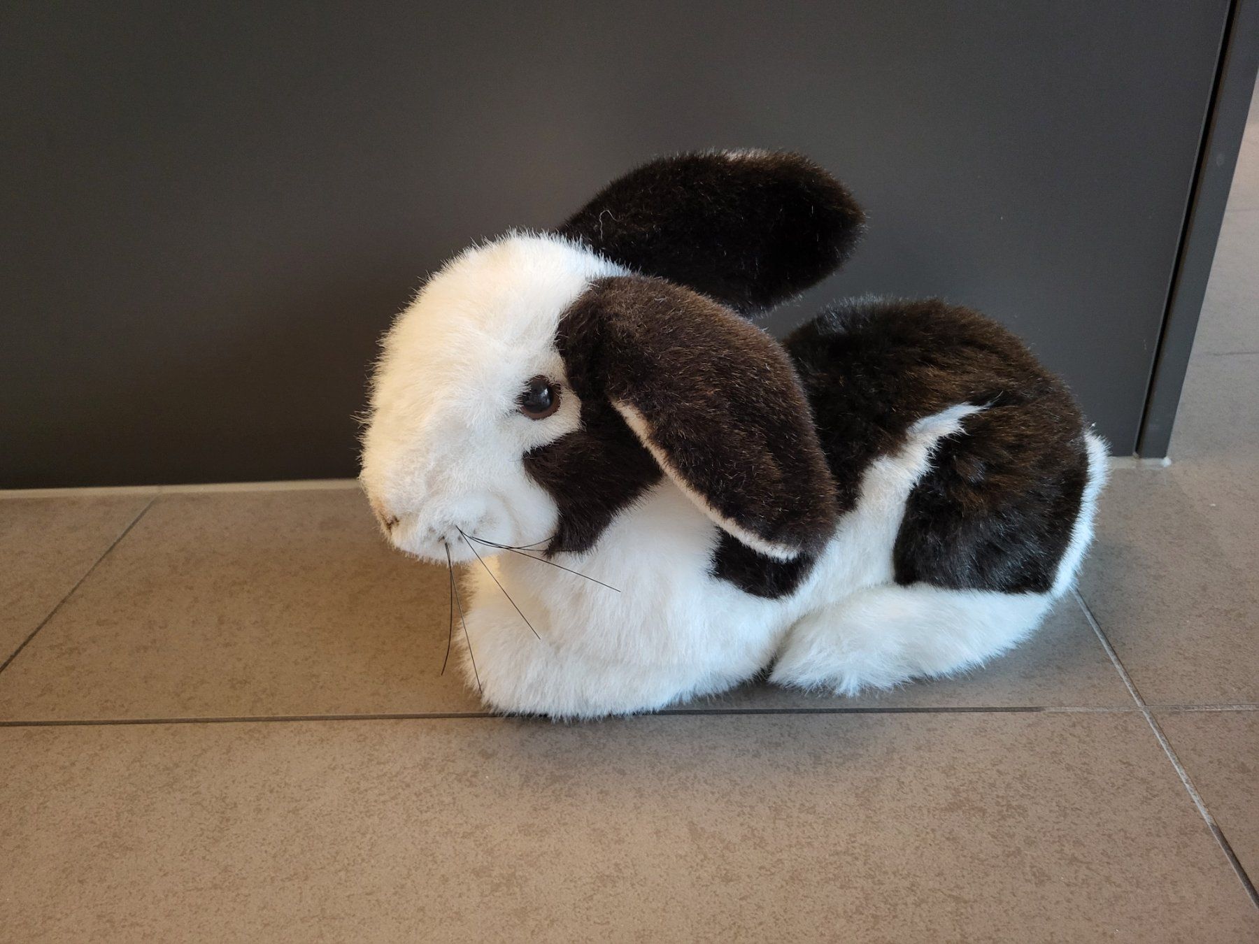 Steiff Spielzeuge: Steiff Hase – Neu (gemäss Beschreibung) aus Zürich von Orchidee
