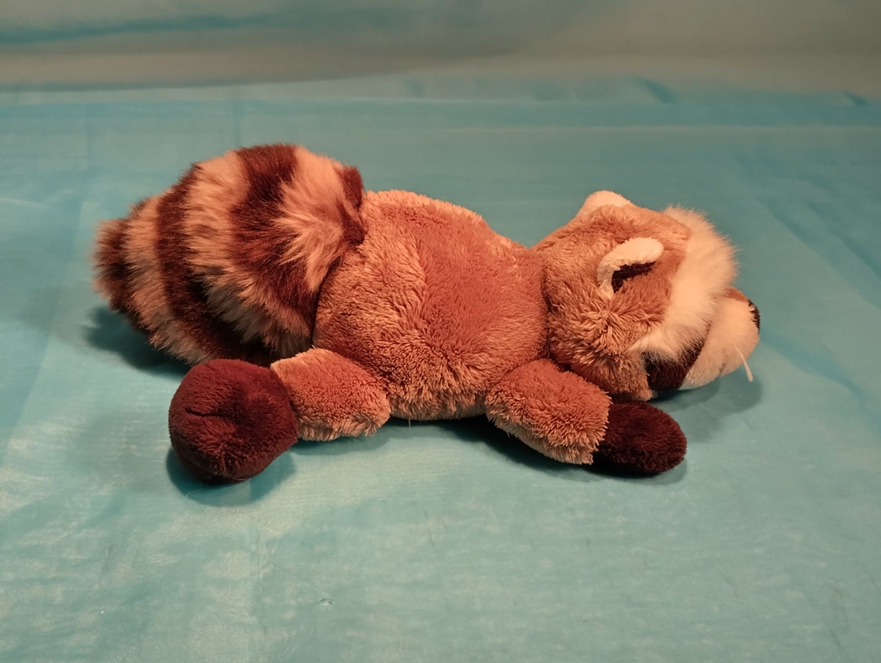 Nici Jouets: NICI Waschbär, L: 25cm – D'occasion à Bellach par JingleCherry 3