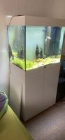 Aquarium mit Unterschrank