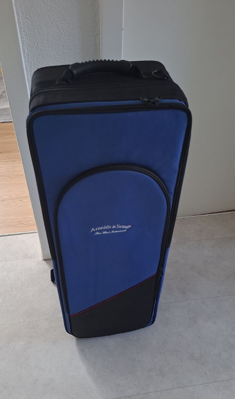Strumenti musicali: Arnold & Sons Tenorsaxophon AST-100 – Usato da Schafisheim venduto da piiep_17 4