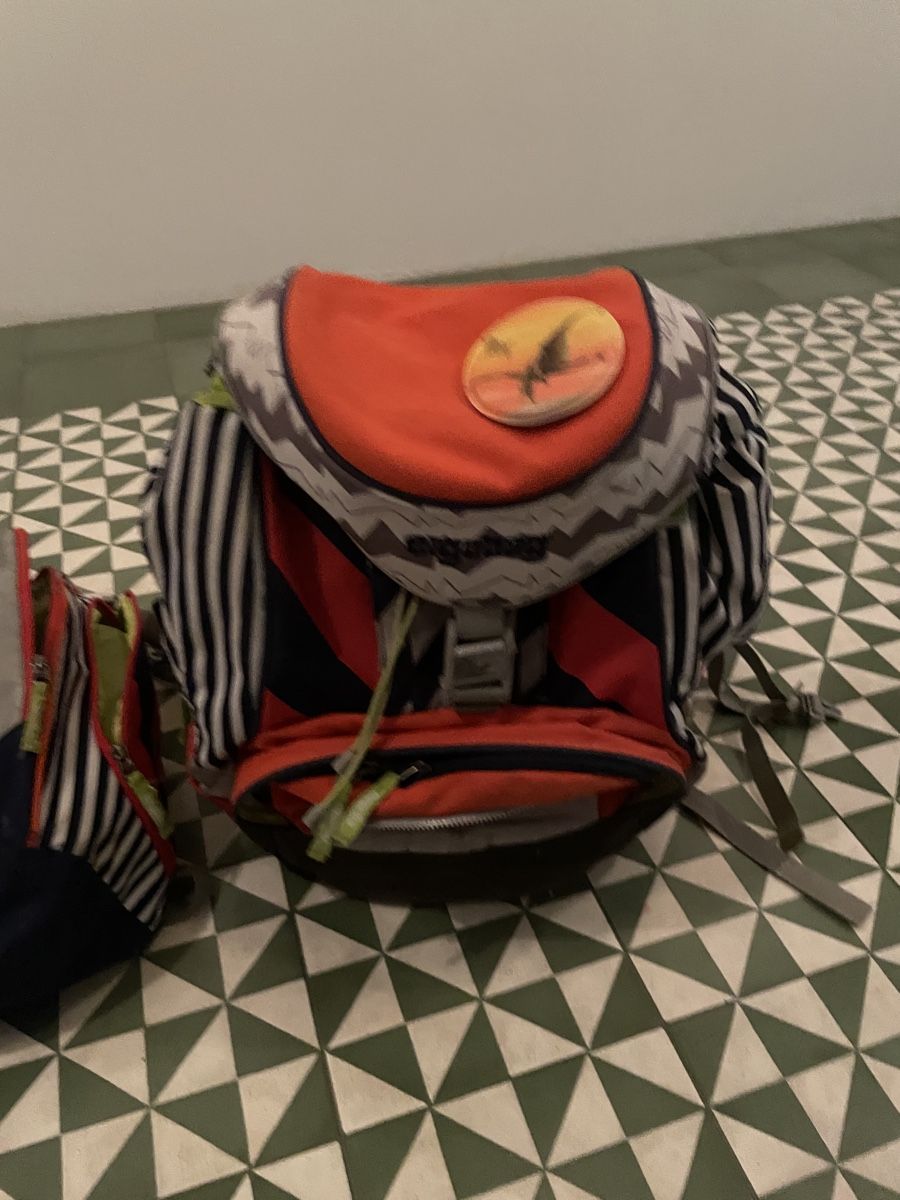 Ergobag Borse & Zaini: Ergobag Schulrucksack Set mit Turntasche und 2 Kletties – Usato da Stans venduto da General_Bubu 1