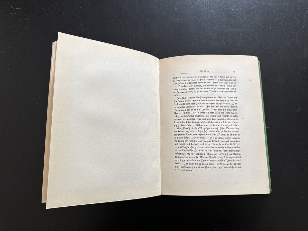 Libri: Novellenbuch – Usato da Erstfeld venduto da Uhu1980 3
