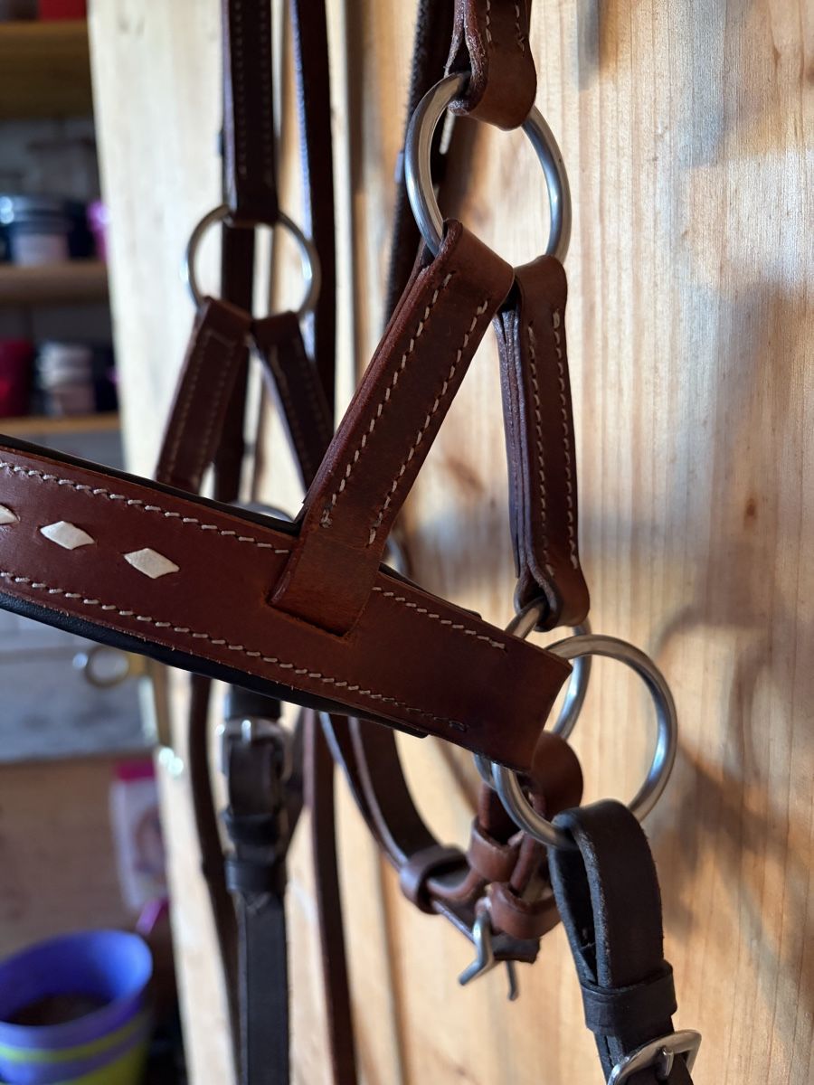 Felix Bühler Brides, licols: Sidepull Gr. Cob – D'occasion à Fruthwilen par m.beer 1