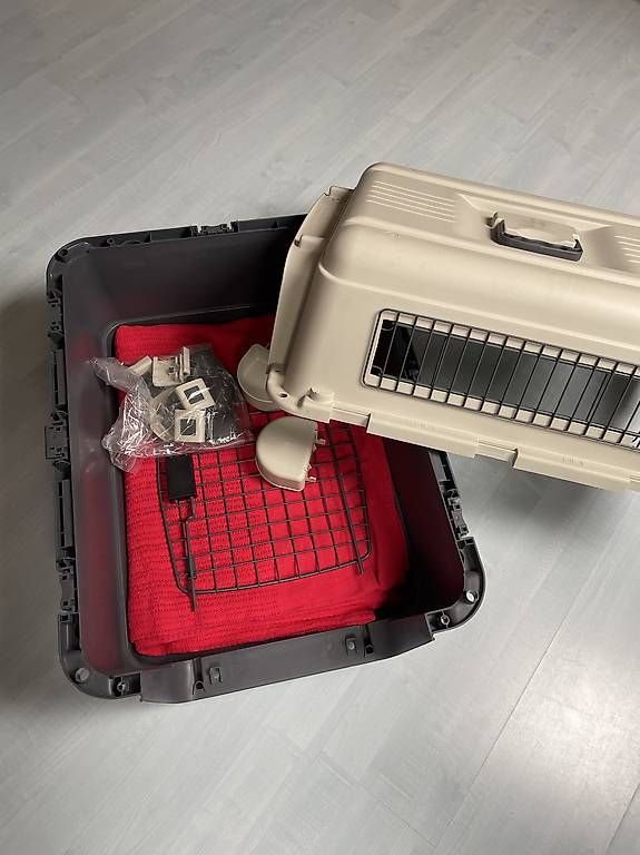 Gabbie, trasporto & Sicurezza: Hunde Transport Box – Usato da Schmitten FR venduto da Zimtstengel 1