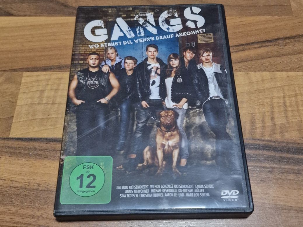 Tous les DVDs: DVD Gangs - Jimi Blue Ochsenknecht – D'occasion à Mitlödi par Raphy1996