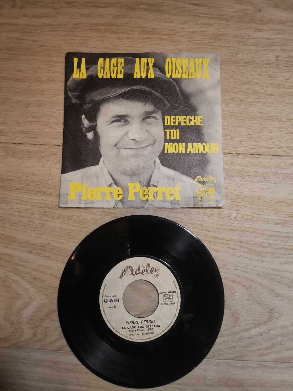 Dischi in vinile: Disque vinyle Pierre Perret La Cage Aux Oiseaux  45t – Usato da La Joux FR venduto da car_ck96