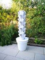 🤩GEMÜSETURM MIT 32 LÖCHER, NEU UND ORIGINALVERPACKT