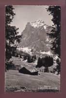 WETTERHORN v. Hertenbühl, Grindelwald - 1945