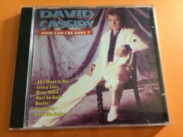 David Cassidy - How Can I be Sure? CD Kult!