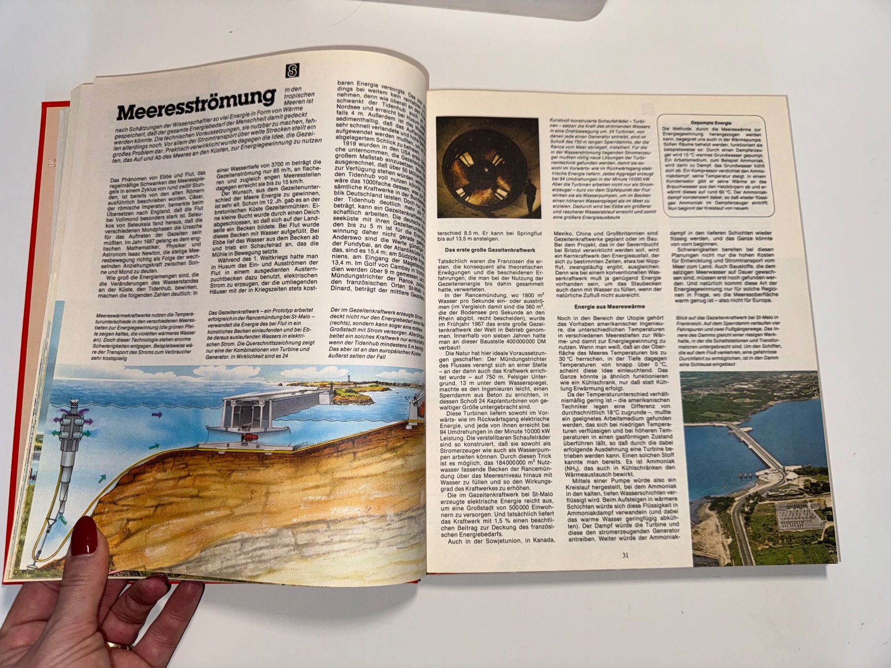 Libri: BUCH: Das grosse Readers Digest Jugendbuch, 22te Folge – Usato da Grosswangen venduto da Second_hand_paradise 3