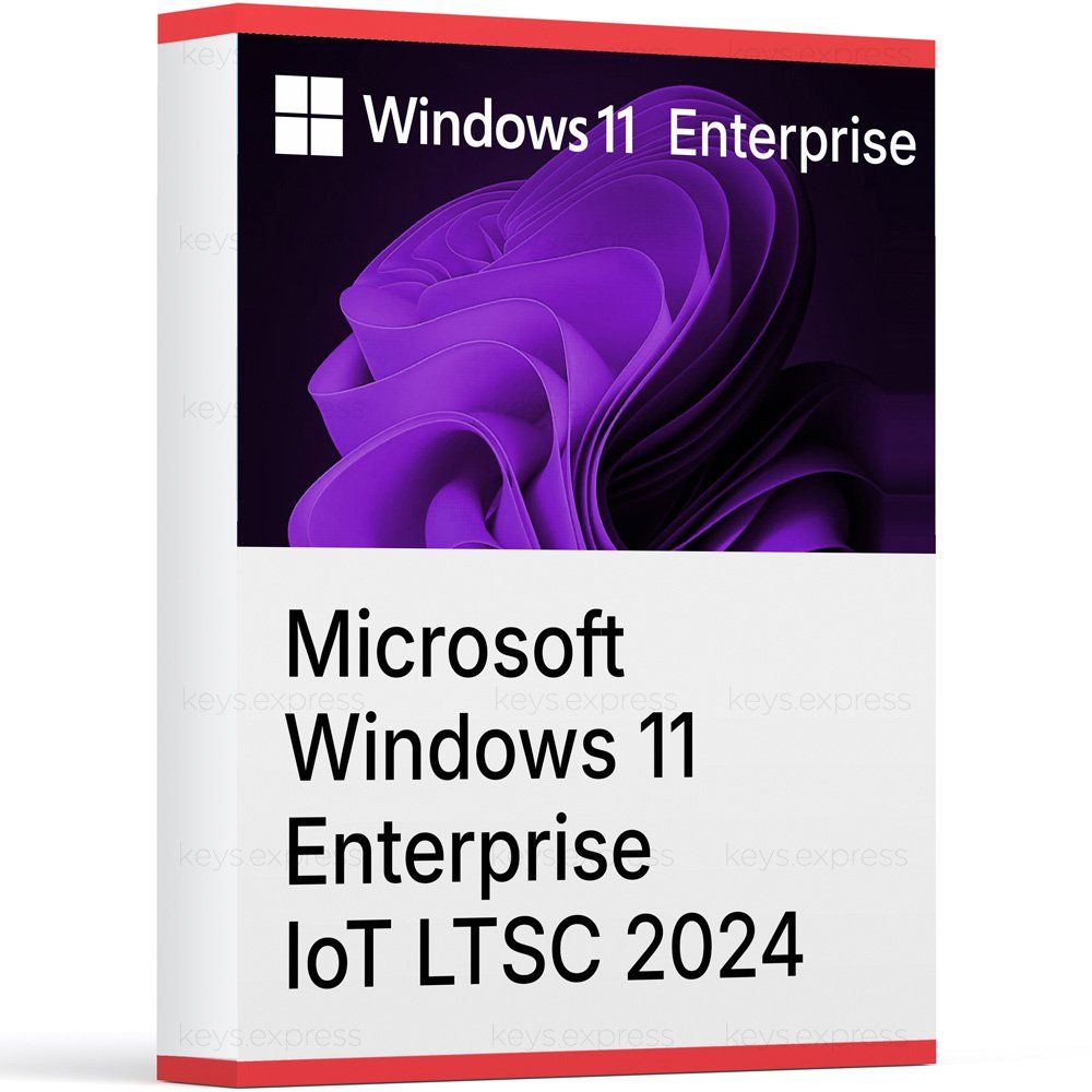 Microsoft Software: Windows 11 Enterprise IoT LTSC 2024 – Usato da Vaduz venduto da KeysDistributionGmbH