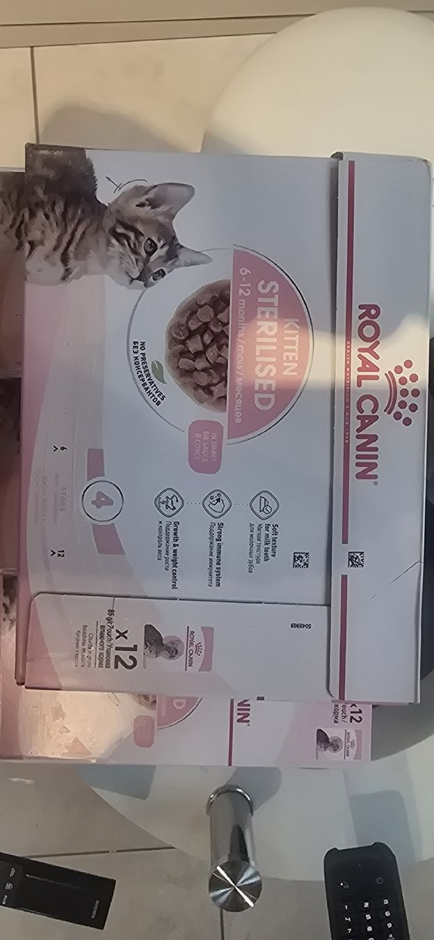 Royal Canin Mangimi: Royal Canin Kitten sterilized  – Nuovo e nell'imballaggio originale da Brenzikofen venduto da rsl_nlv7 1