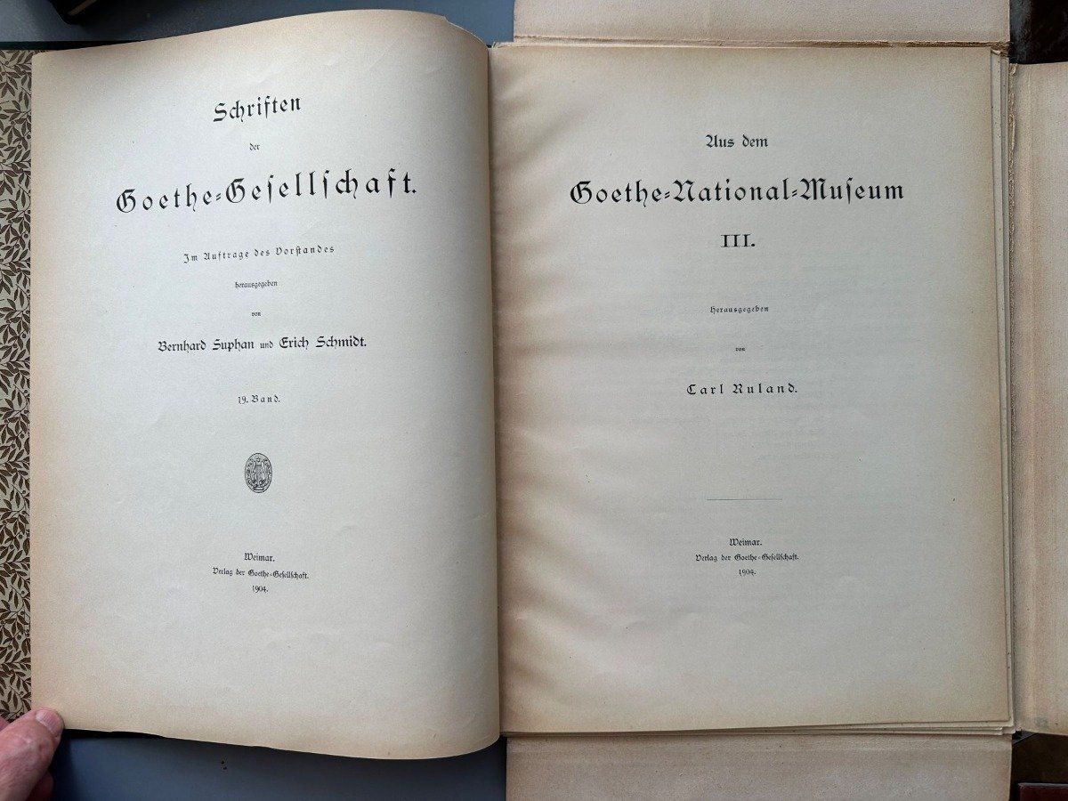 Libri: 11 Schriften der Goethe-Gesellschaft – Usato da Zürich venduto da allp 4