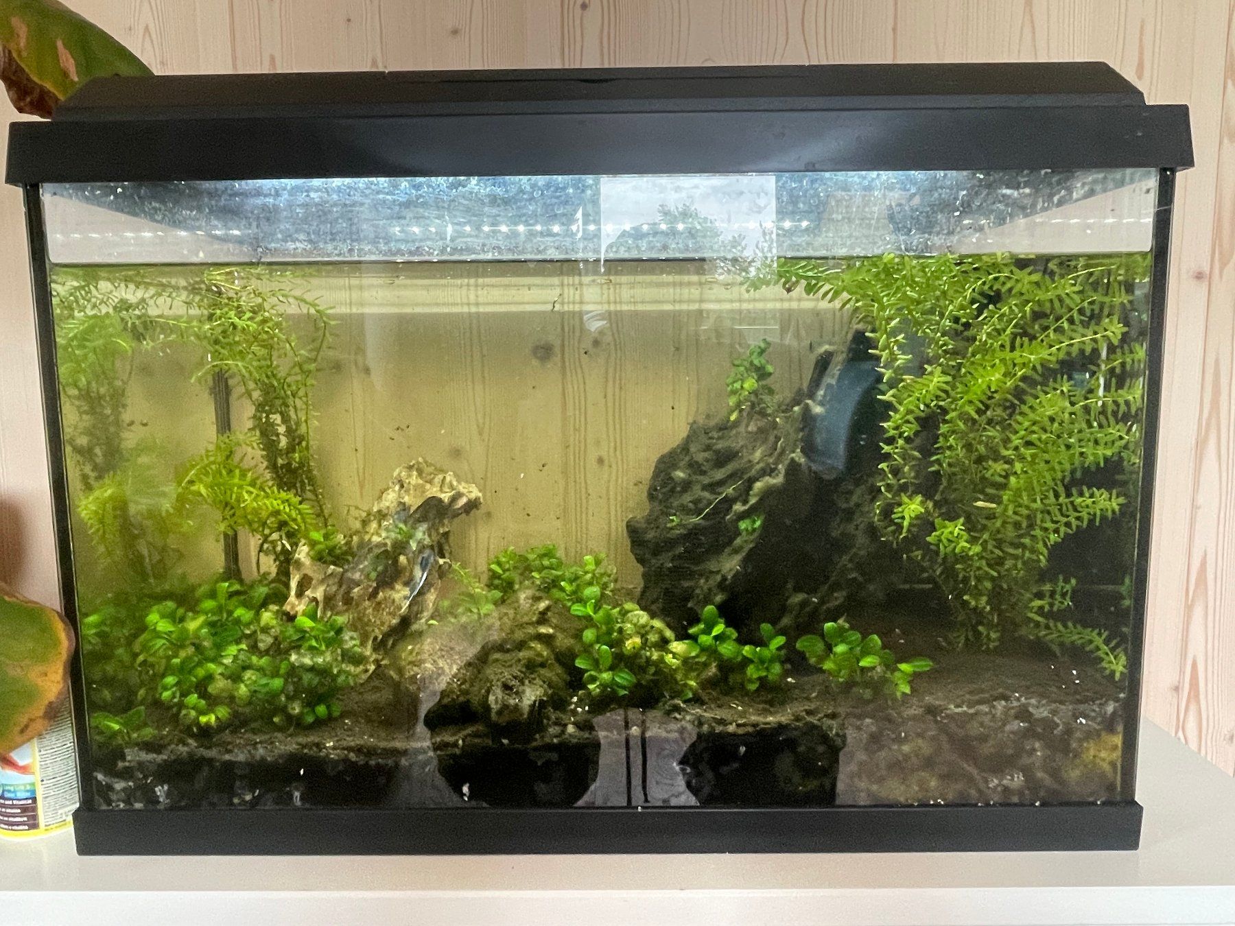 Juwel Aquarium: Aquaruim Komplett oder einzelne Teile – Gebraucht aus Bern von nad_mws6