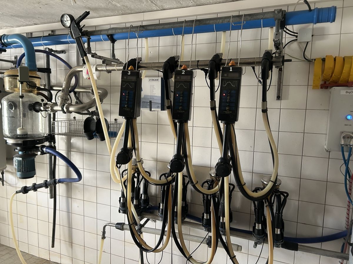 Delaval Tutte le macchine: Melkanlage De Laval – Usato da Gümligen venduto da melchenbuehlgut