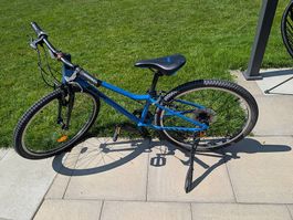 Top Bow Bike Velo 24 Zoll