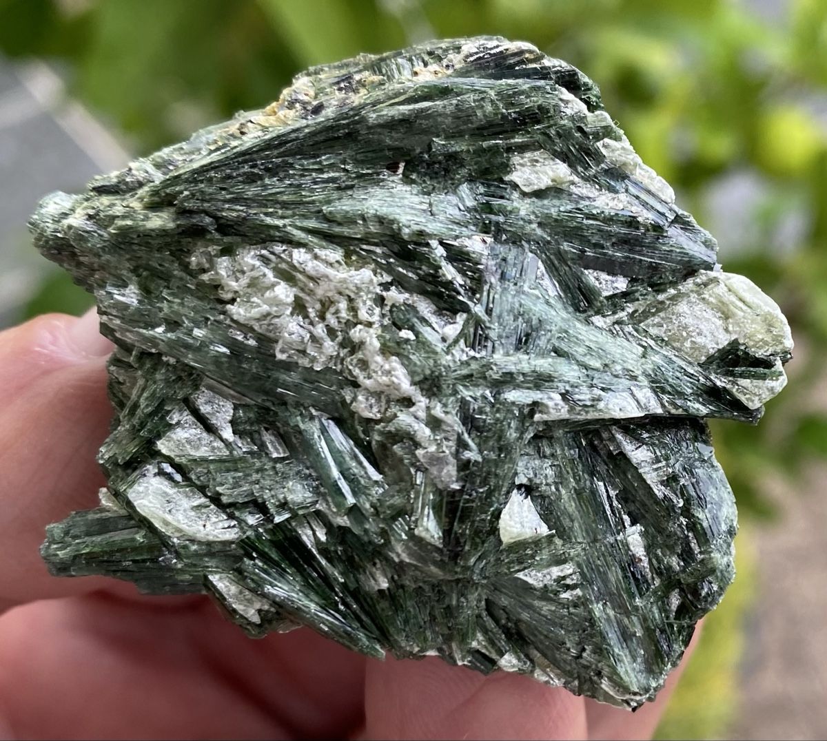 Mineralien & Heilsteine: Top Aktinolith  – Gebraucht aus Selzach von 321compac 8