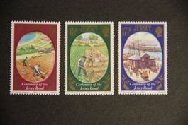 Jersey 1980 - Jersey potato**