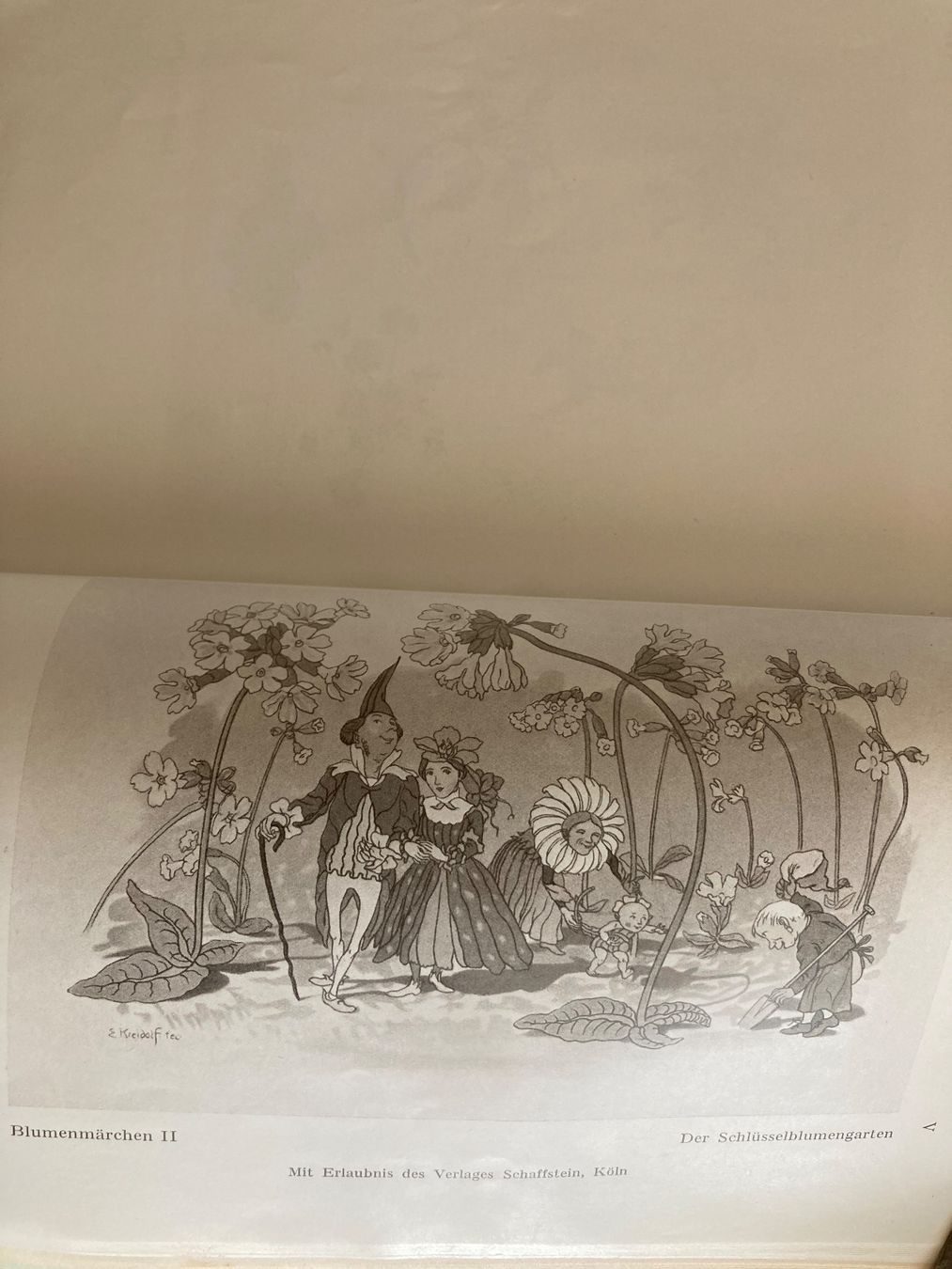 Libri: Werkkatalog Ernst Kreidolf 1933 – Usato da Bolligen venduto da Jerry127 2
