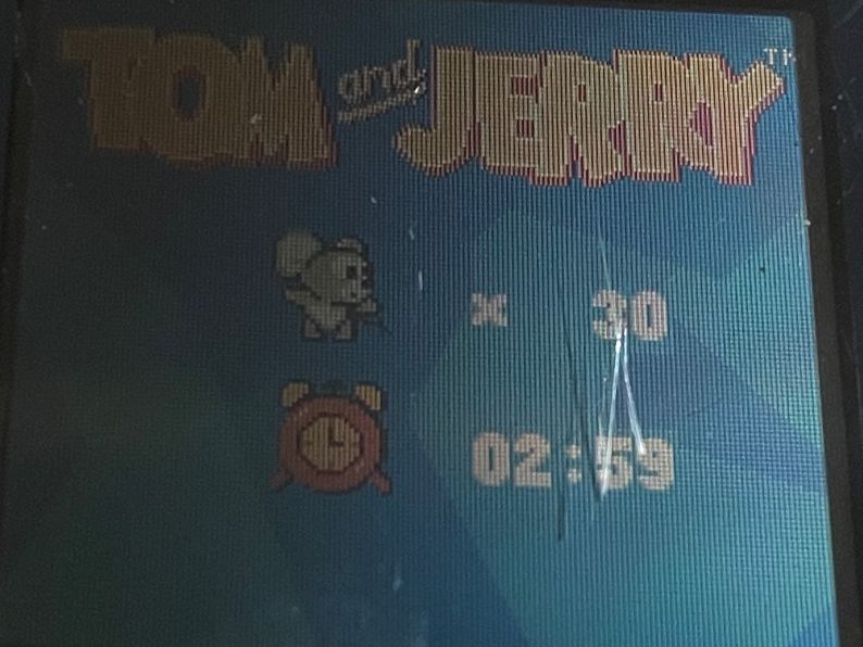 Nintendo Giochi: Tom & Jerry: Mousehunt - Game Boy Color Spiel – Usato da Zuerich venduto da Dorsi 4
