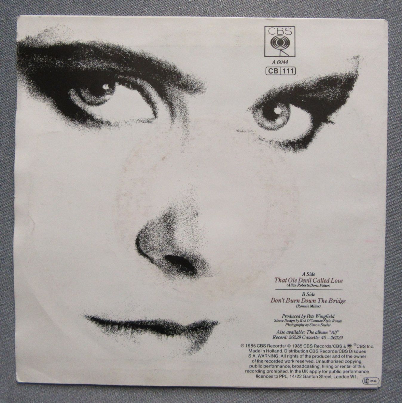 Dischi in vinile: Single - Alison Moyet - That Ole Devil Called Love – Usato da Auenstein venduto da Padabimbim 1