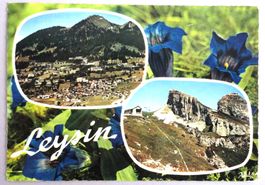 Leysin, Le village et la station