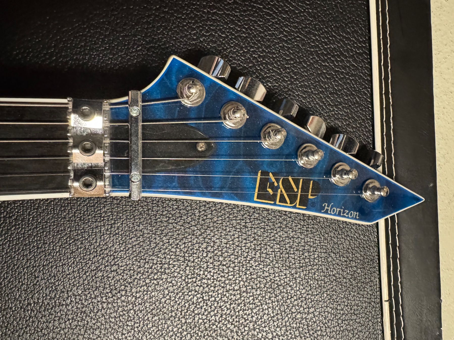 Strumenti musicali: ESP Horizon Standard Edition – Usato da Pfäffikon ZH venduto da MM8619 2