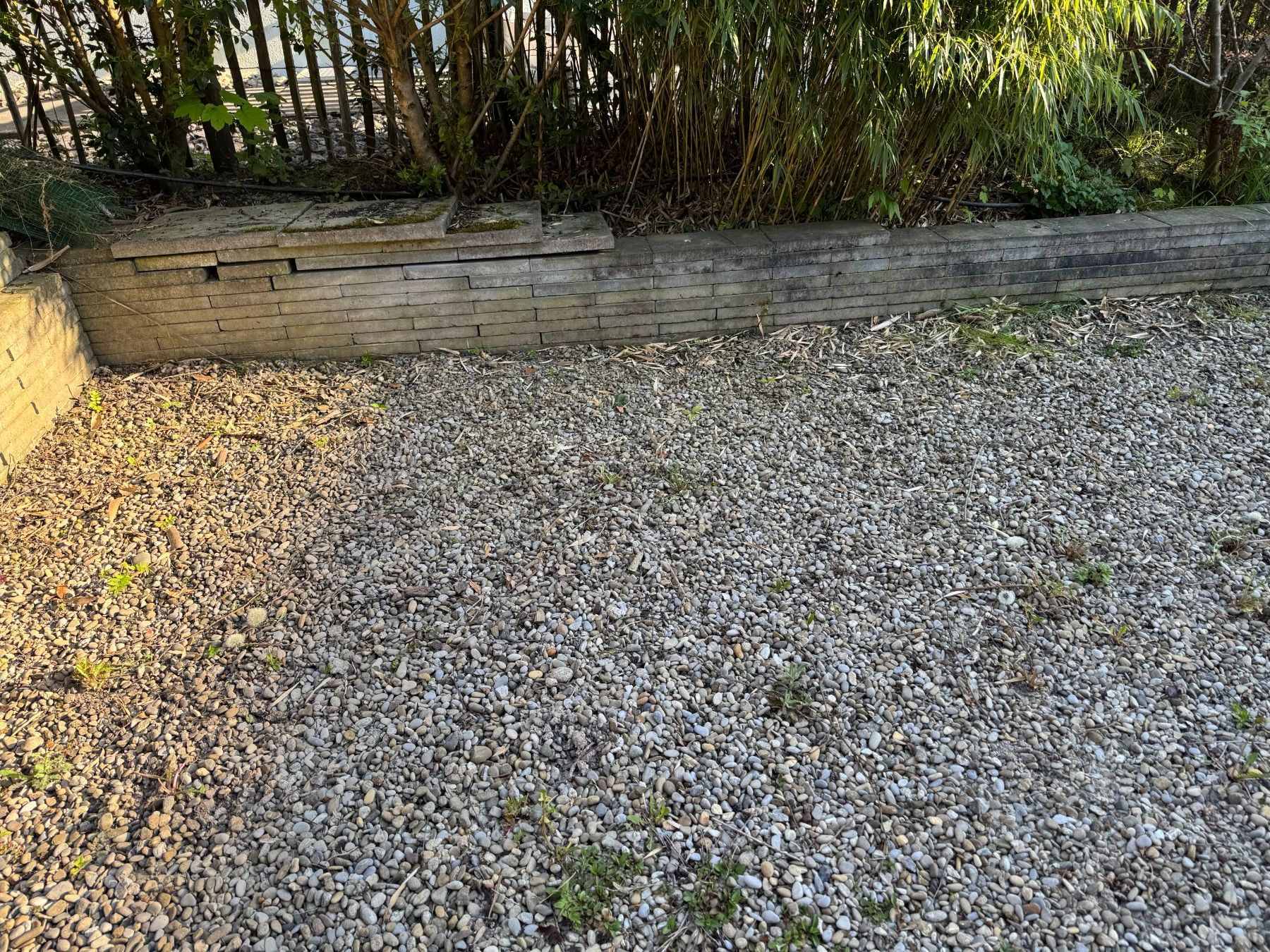 Rivestimenti per pavimenti: Gehwegplatten 40x20x4 cm – Usato da Büren an der Aare venduto da Babylion 1