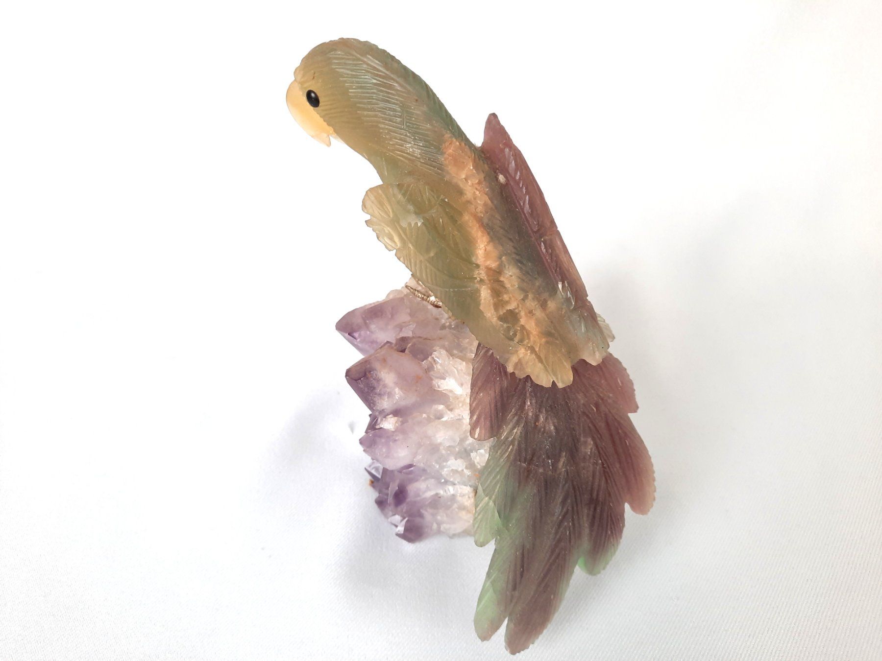 Minerali & Pietre curative: Papagei auf Amethyst-Cluster – Usato da Beinwil am See venduto da Restwert_Beinwil 2