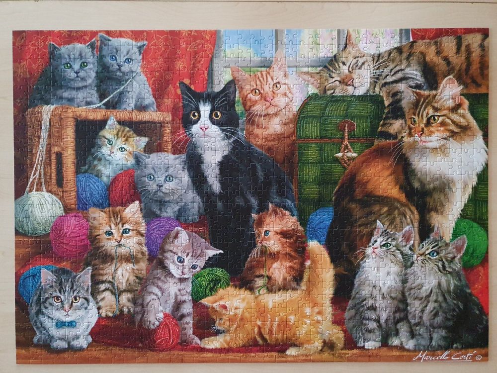 1000 Teile Katzen-Puzzle – Perfekt Für Puzzle-Fans & Katzenliebhaber
