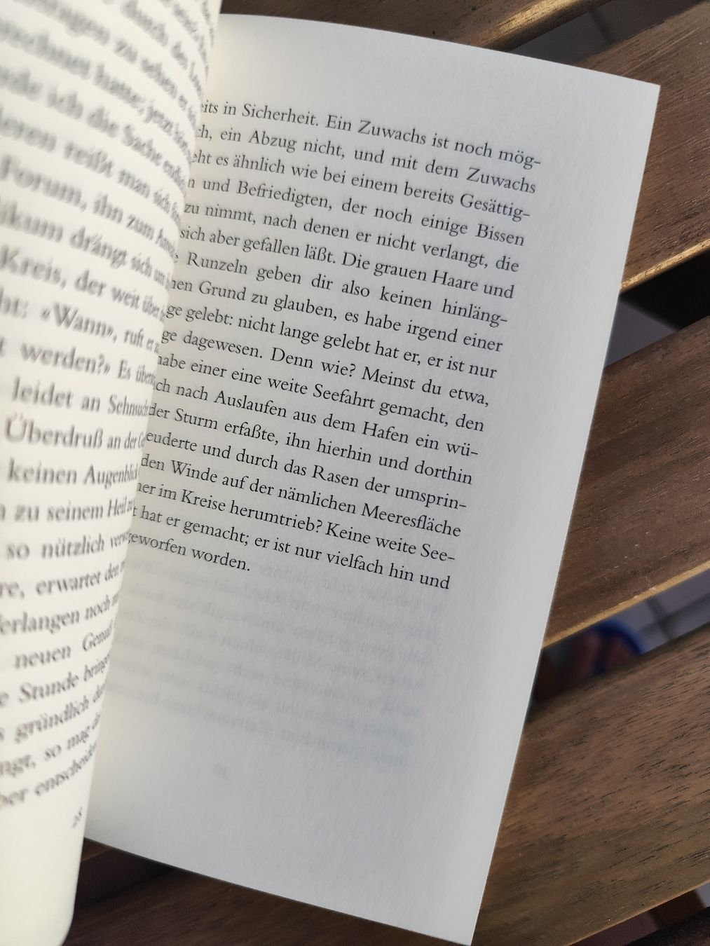 Libri: Seneca Von der Kürze des Lebens  – Usato da Mägenwil venduto da VintageGirly 4