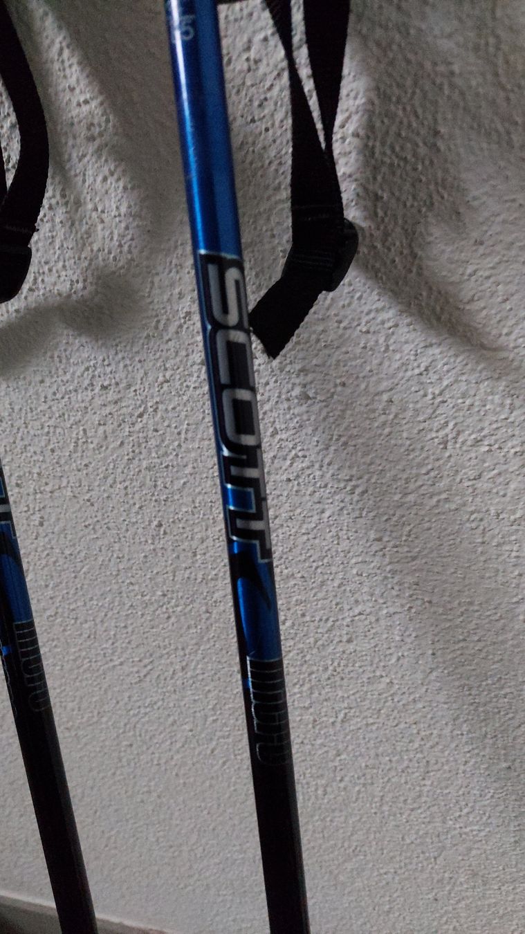 Bastoncini da sci: Ski Stöcke scott 85 – Usato da Horgen venduto da Nicolelardi1987 1