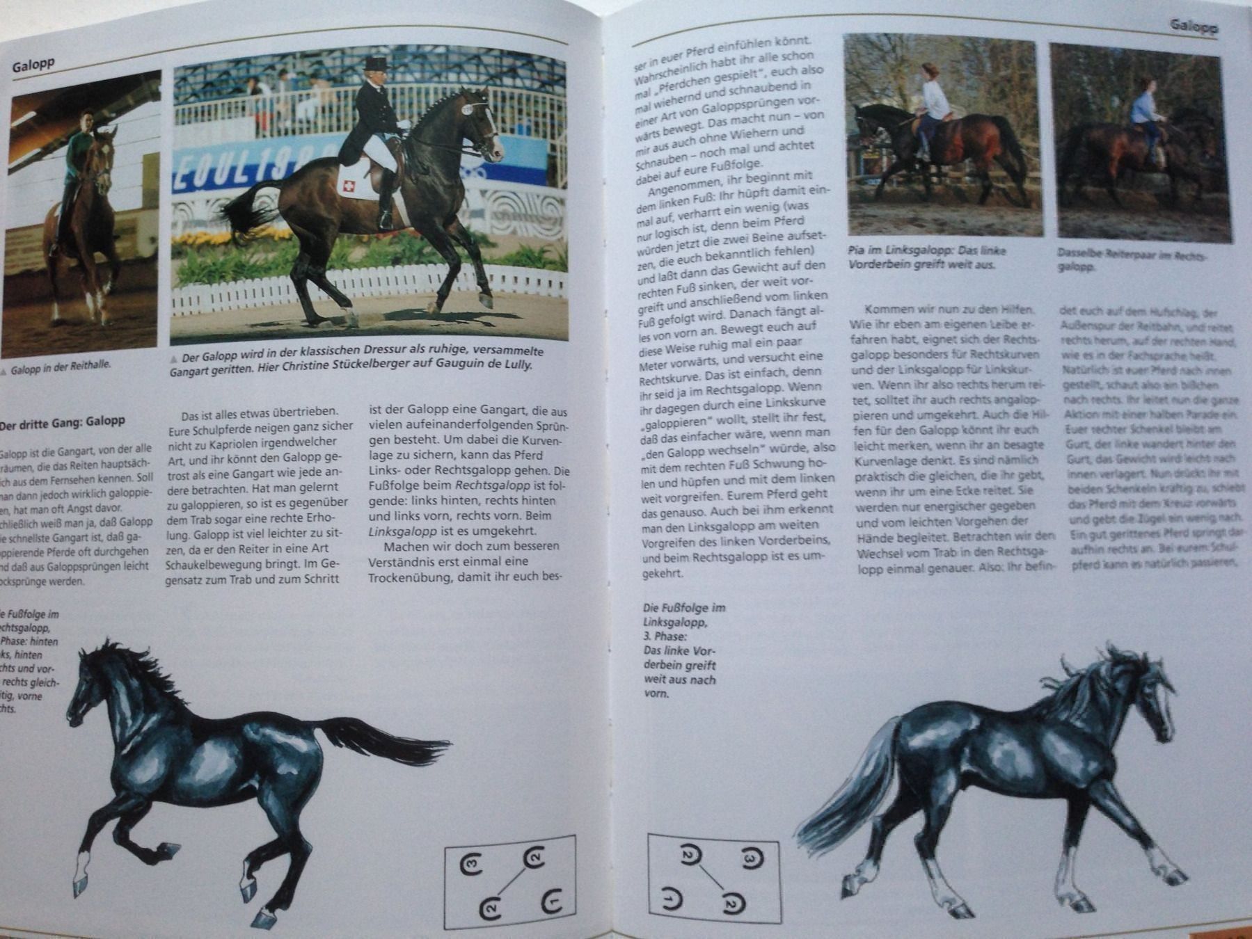 Libri: Das Kosmos-Buch vom Reiten – Usato da Lütisburg venduto da wiesenpippau 4