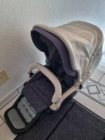 Kinderwagen Teutonia