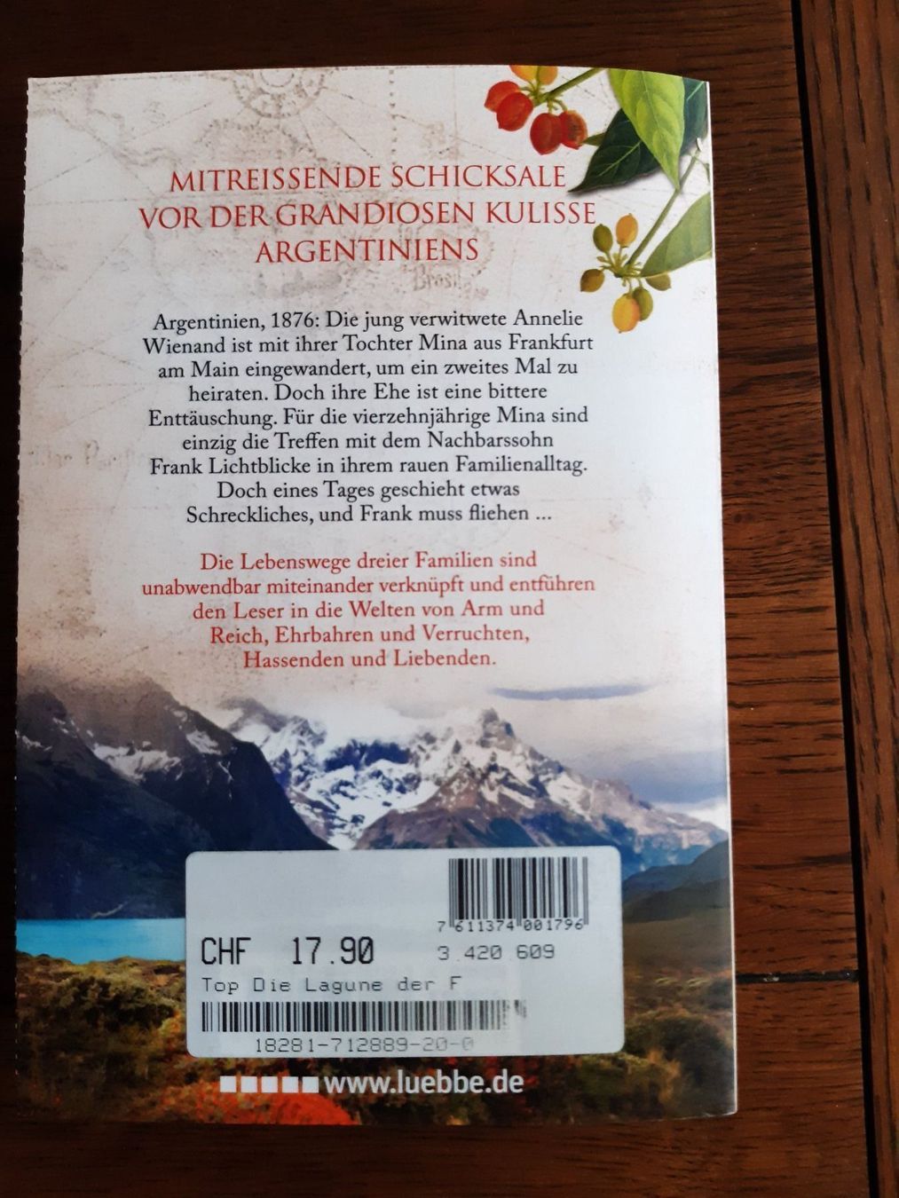 Bücher: Div. Taschenbücher Bestseller – Gebraucht aus Pieterlen von Dyui 3